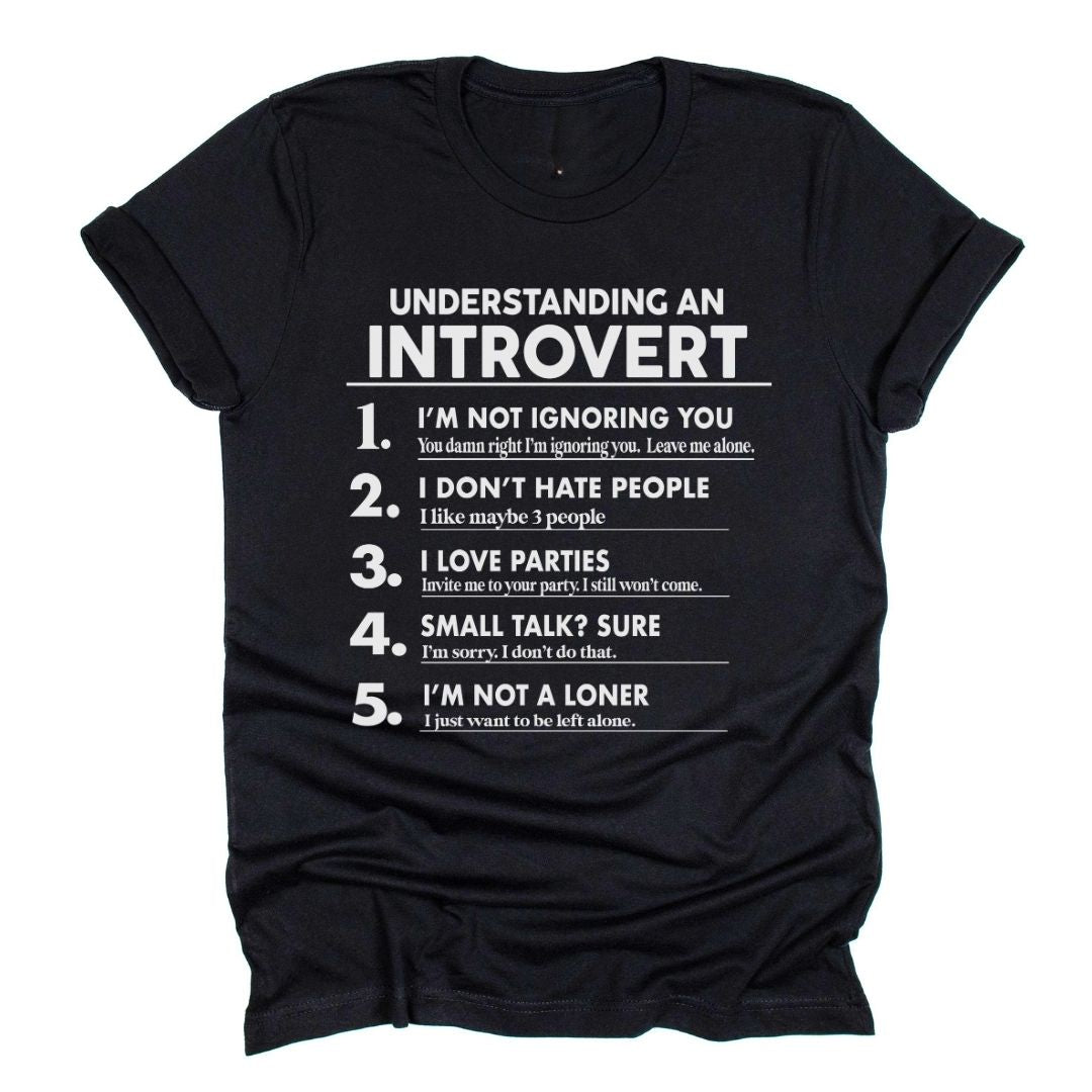 Understanding an Introvert