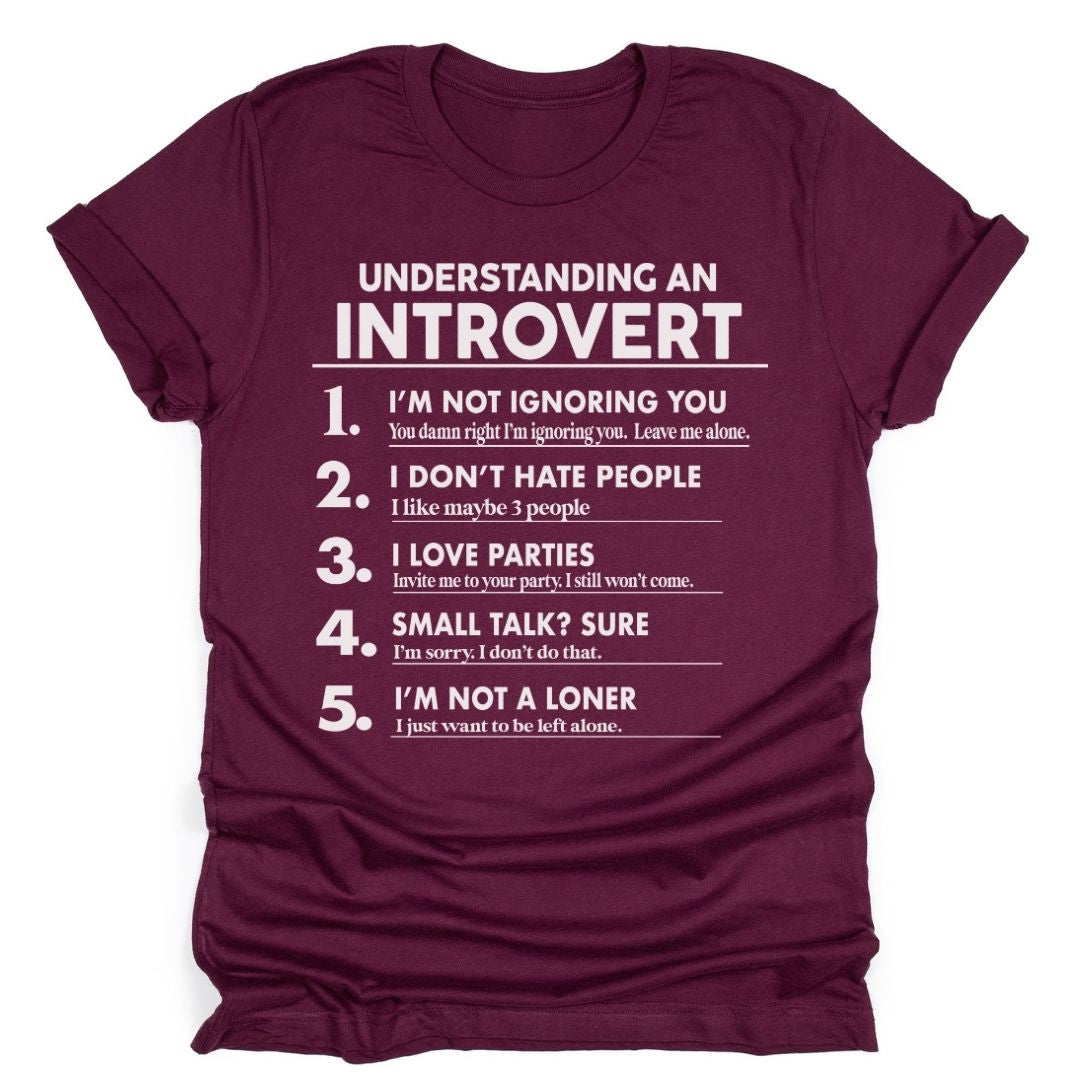 Understanding an Introvert