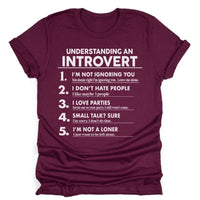 Understanding an Introvert