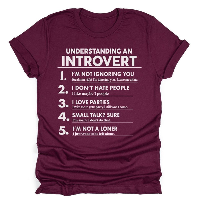 Understanding an Introvert