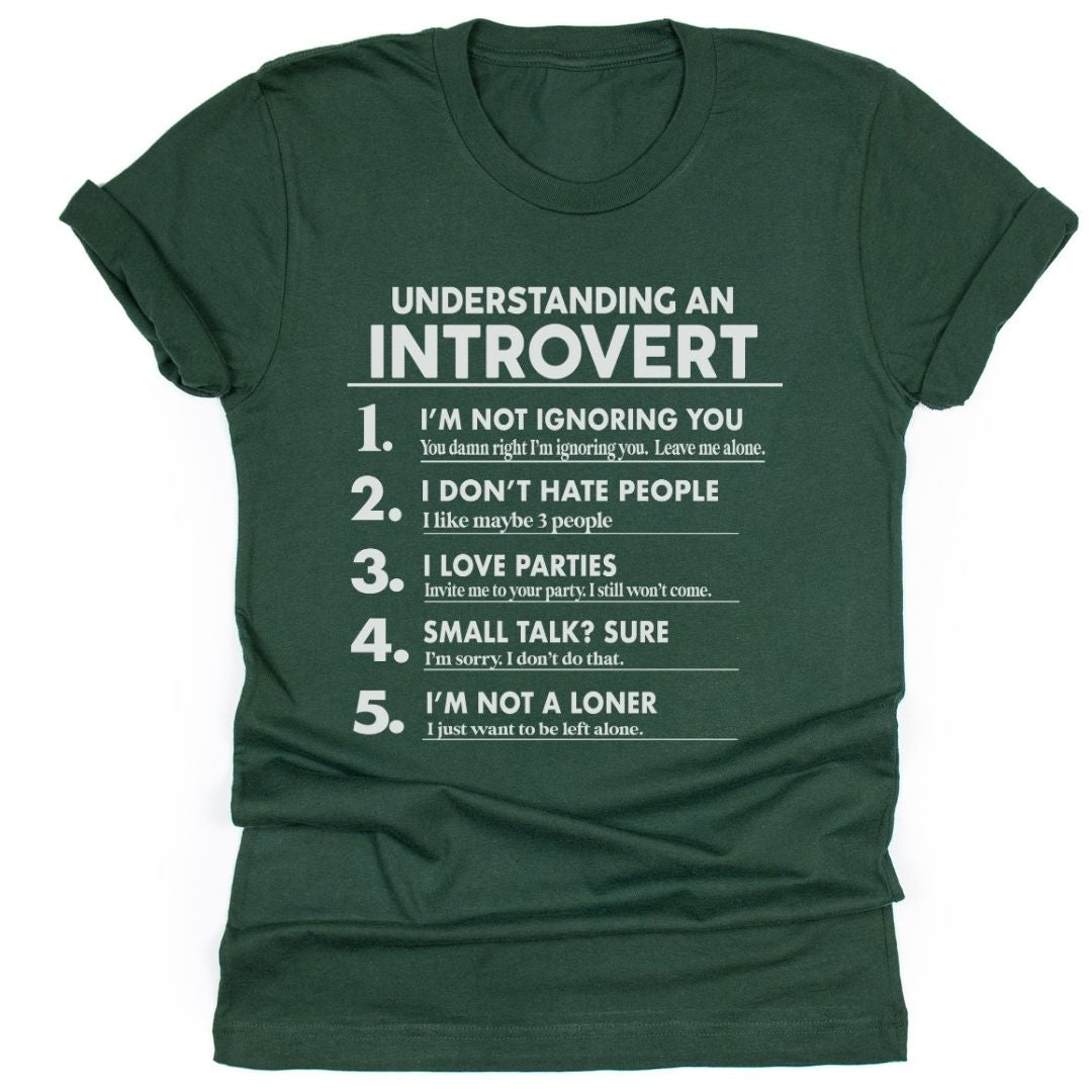Understanding an Introvert