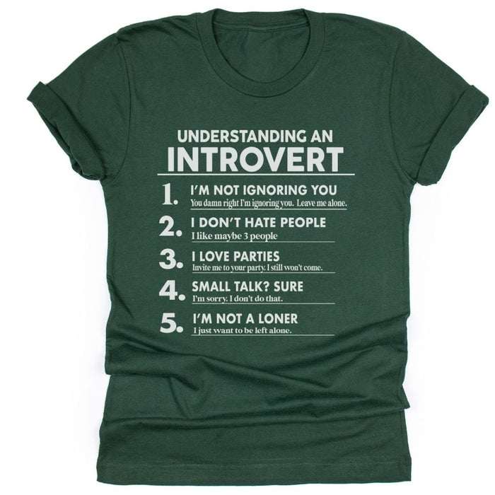 Understanding an Introvert