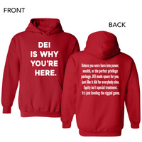 DEI Is Why You're Here.| Hoodie